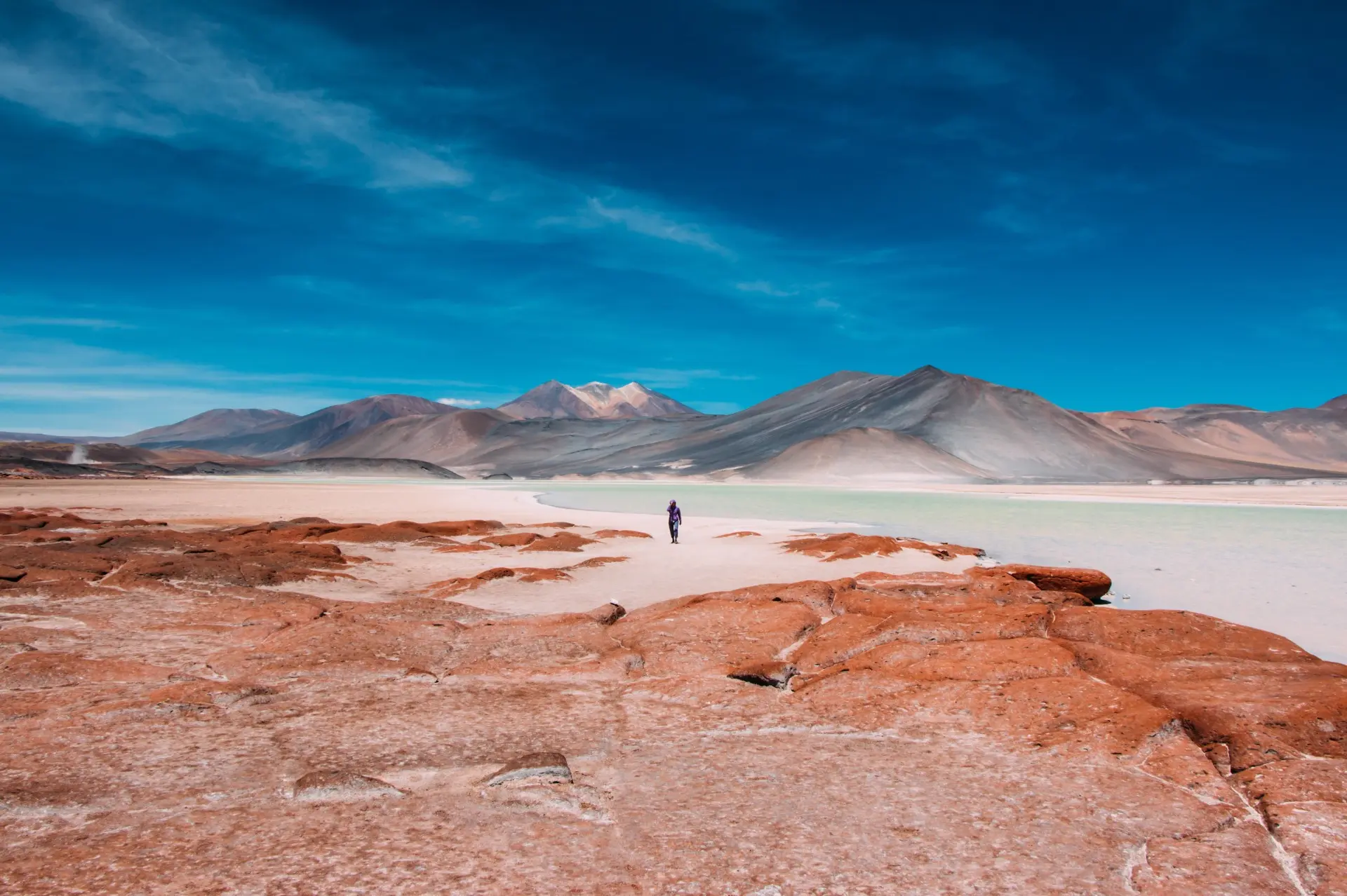 Desierto de Atacama Chile - salares y volcanes