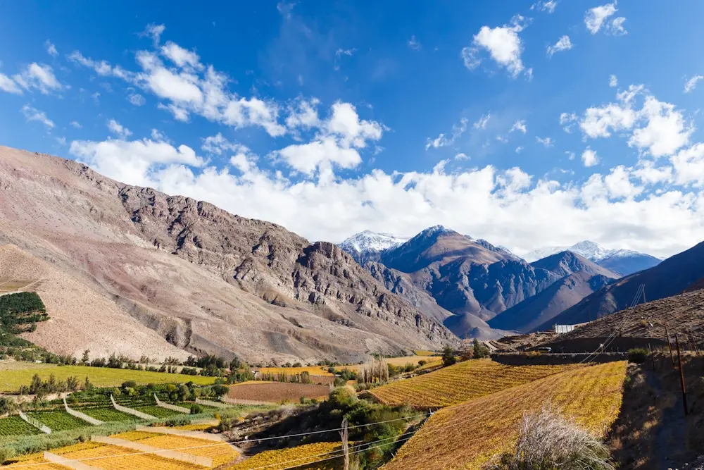 Valle de Elqui Chile - observatorios y viñedos