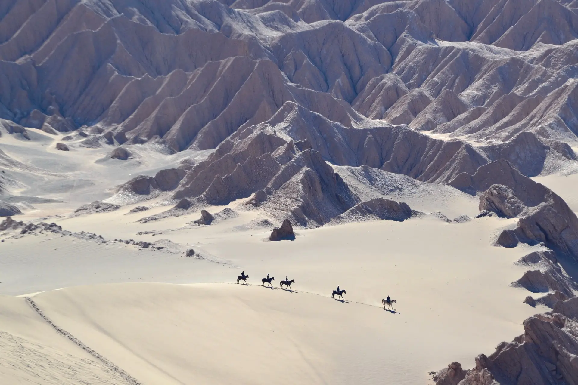 Valle de la Luna Atacama - paisajes marcianos